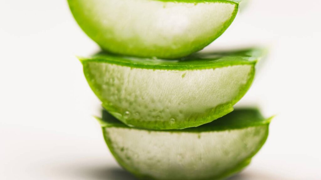 Pontas vermelhas no aloe vera viraram alerta para jardineiros experientes