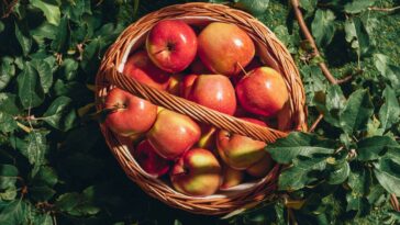 Esse truque com maçã está salvando cozinhas com cheiro forte