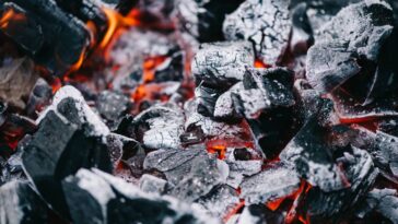 Por que jogar sal sobre as brasas no churrasco segundo um chef de cozinha