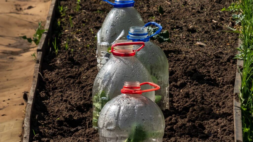 Adeus aos irrigadores, conheça o truque que manterá suas plantas úmidas por dias