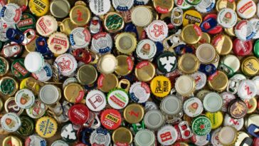 Coloquei tampinhas nos meus vasos de planta e nunca tive pragas no jardim