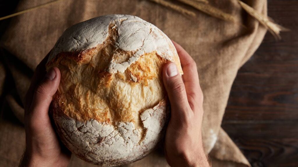 Estudo revela o que acontece com o pão depois de congelado