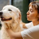 Embora o apego seja o motivo mais comum, mudanças súbitas nesse comportamento podem indicar ansiedade de separação ou até problemas de saúde – Créditos: depositphotos.com / rossandhelen