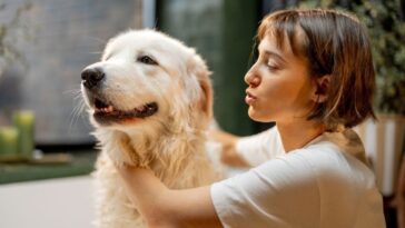 Embora o apego seja o motivo mais comum, mudanças súbitas nesse comportamento podem indicar ansiedade de separação ou até problemas de saúde – Créditos: depositphotos.com / rossandhelen