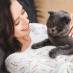 A forma mais precisa de calcular a idade real do seu gato