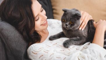 A forma mais precisa de calcular a idade real do seu gato