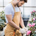 Como cultivar ciclaminos em floreiras suspensas na sacada