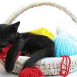 O detalhe neste amigurumi de gato dorminhoco que está encantando todo mundo