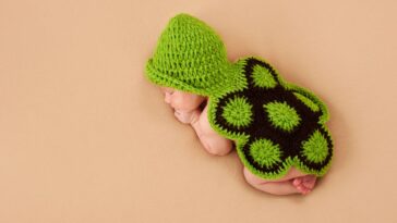 Amigurumi de tartaruga em crochê para decorar e encantar com fofura artesanal