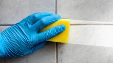 Essa mistura simples virou tendência entre quem quer uma casa limpa e sem insetos