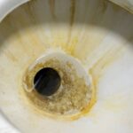 O truque simples e barato com papel toalha que salvou meu vaso sanitário