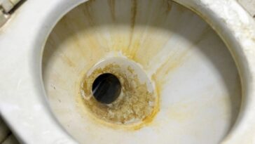 O truque simples e barato com papel toalha que salvou meu vaso sanitário