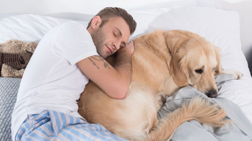 O que o suspiro do cachorro revela sobre seu estado emocional