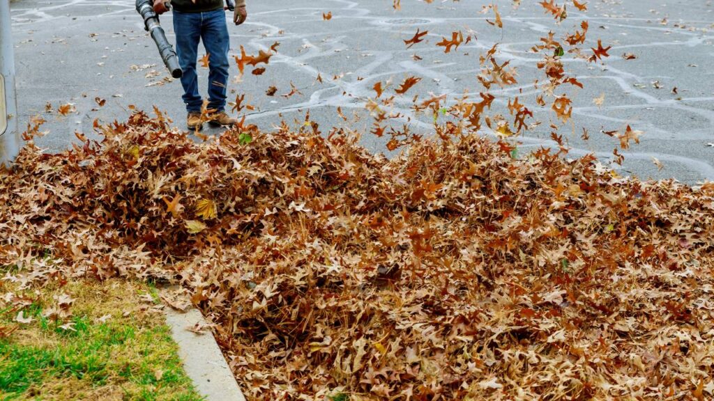 A prática simples para manter o solo úmido e fértil de acordo com especialistas