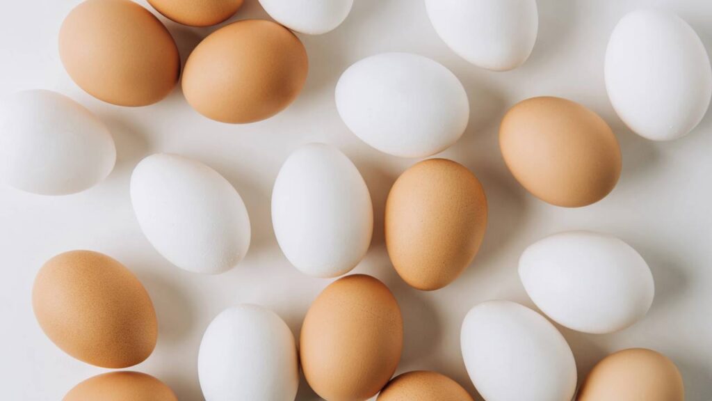 Como conservar ovos na geladeira por mais tempo sem risco de estragar
