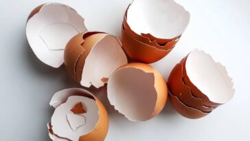 Você nunca imaginou o que as cascas de ovo fazem na lavagem das roupas