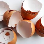 A dica caseira mais eficiente e esquecida no cuidado com o jardim