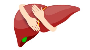 Vitamina B3 mostra potencial no combate à doença do fígado gorduroso