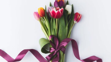 Três plantas ideais para cultivar em outubro em varandas pequenas