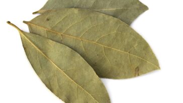 Folhas de louro Créditos: depositphotos.com / robynmac