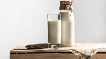 Leite com água de chuva é o melhor cuidado natural para língua de sogra