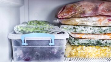 Como economizei energia e espaço no freezer com um truque simples e barato