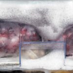 Como economizei energia e espaço no freezer com um truque simples e barato