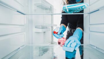 3 motivos para usar casca de laranja na geladeira hoje mesmo