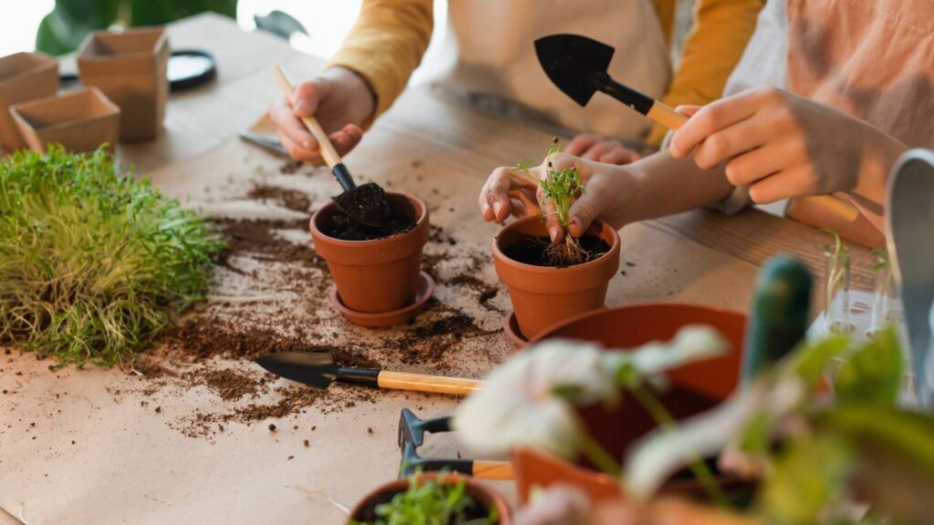 Como fazer plantas crescerem fortes e saudáveis com um ingrediente que todos tem em casa