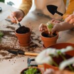 A planta que sobrevive ao frio e ainda floresce no inverno