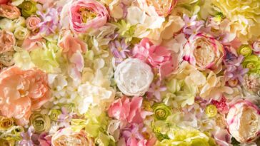 A técnica japonesa que transforma o cultivo e deixa qualquer planta florida