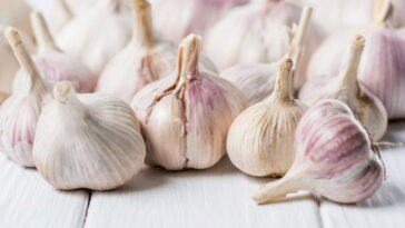Como conservar o alho por meses sem que ele fique ruim