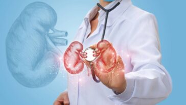 Esses alimentos parecem inofensivos, mas podem danificar seus rins em silêncio