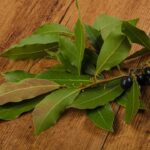 O jeito certo de guardar folhas de louro para não perder sabor