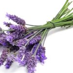 Essa prática simples com lavanda está viralizando e acalma até o ar