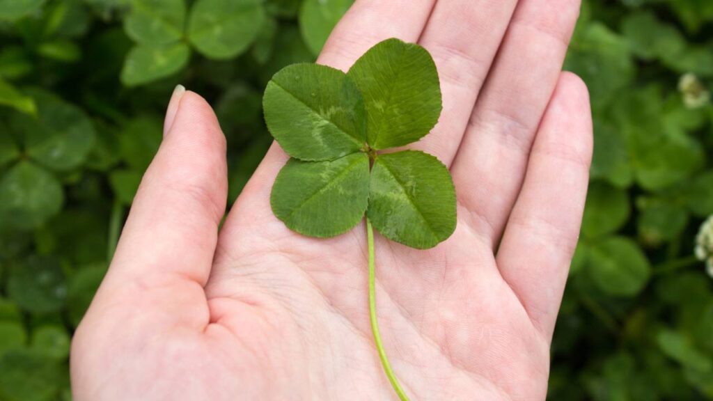 A melhor notícia financeira do ano chega para esses signos em novembro