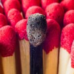 Esse item simples na terra salvou minhas plantas e ninguém sabia disso