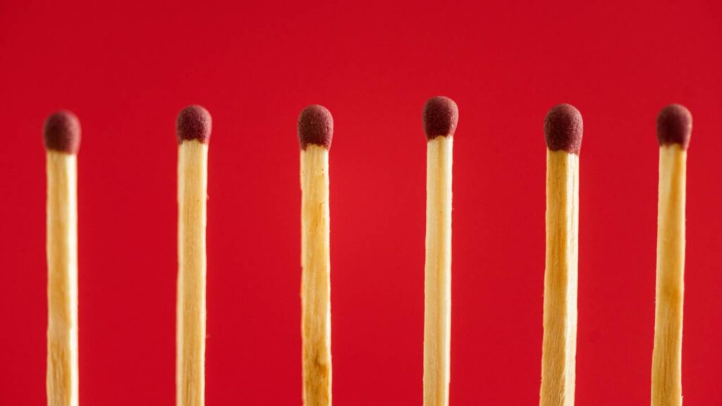 Esse item simples na terra salvou minhas plantas e ninguém sabia disso