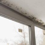 Essa dica simples e barata eliminou todo o mofo da minha casa em minutos