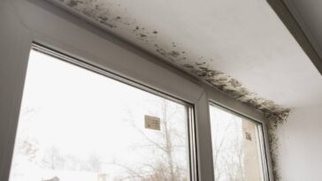 Essa dica simples e barata eliminou todo o mofo da minha casa em minutos