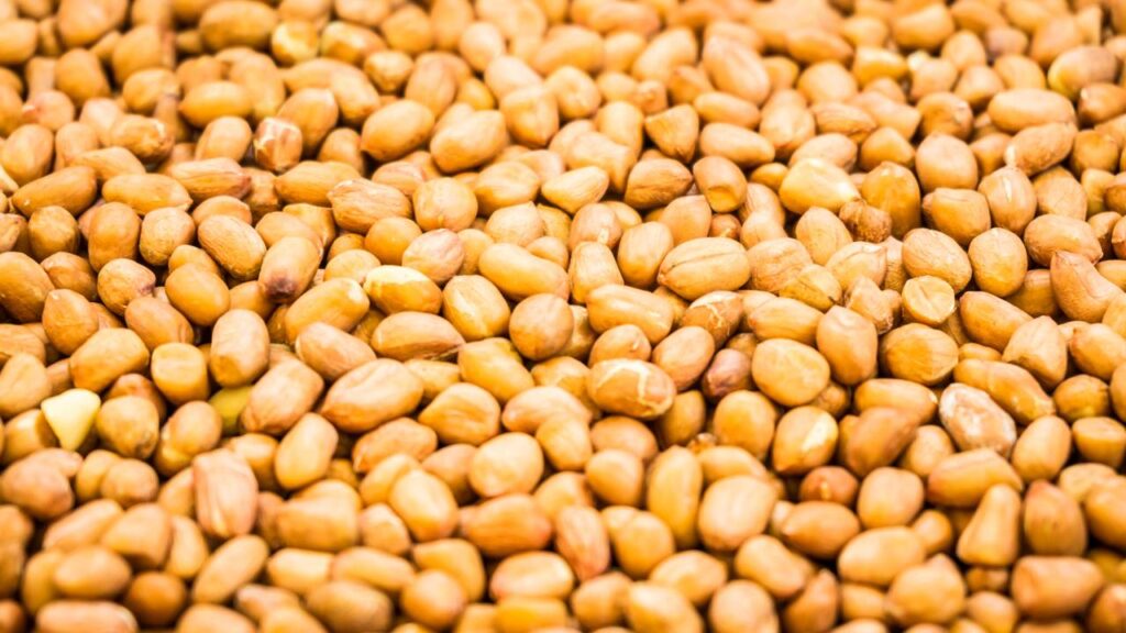 A fruta seca com mais proteína que o ovo e que reduz o colesterol