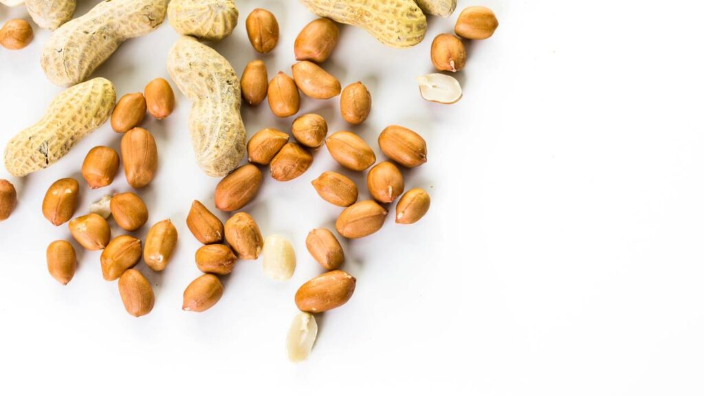 A fruta seca com mais proteína que o ovo e que reduz o colesterol