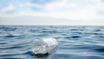 Transformei garrafas PET em crochê e o resultado emociona