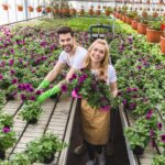 Três plantas ideais para semear em novembro e alegrar seu jardim no verão