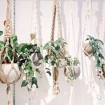 Transforme suas plantas com esse suporte de crochê pendente e artesanal