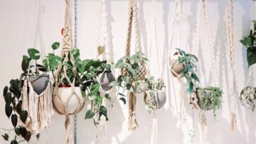 Transforme suas plantas com esse suporte de crochê pendente e artesanal