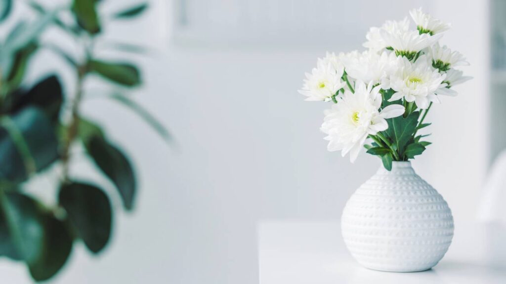 Coloquei tampinhas nos meus vasos de planta e nunca tive pragas no jardim