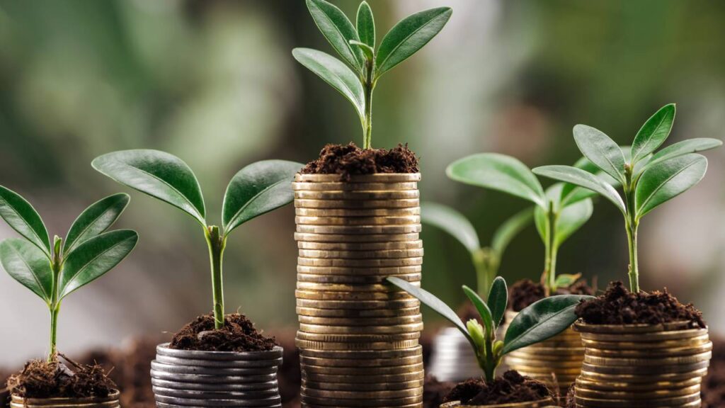 Planta que decora, purifica e atrai boas energias, depois que plantei isso em casa nunca mais tive azar
