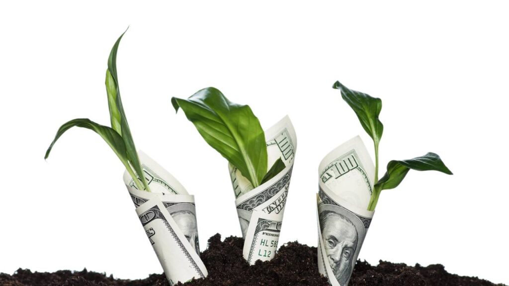 Um signo terá sorte com dinheiro como nunca antes em novembro