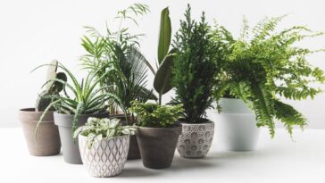Suporte de plantas suspensas em crochê para vasos com estilo natural